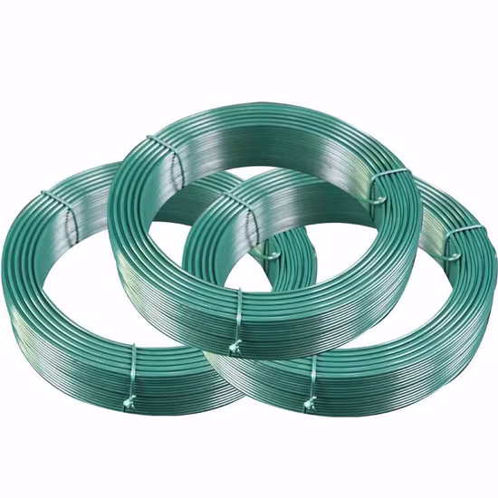 Made in China Plastic Coated Iron Wire Green Color Coil PVC Coated Garden Binding Wire